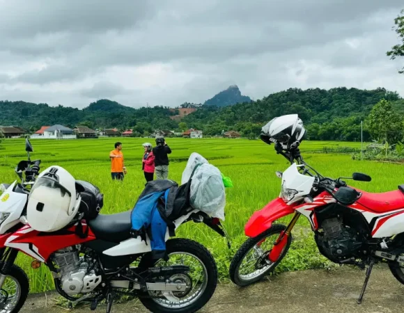 Easy Rider Mekong Delta to Dalat Motorbike Tour