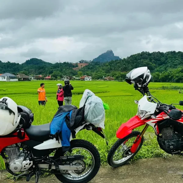 Easy Rider Mekong Delta to Dalat Motorbike Tour