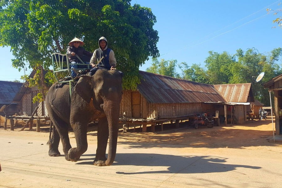 Elephant in the Lak Lake village