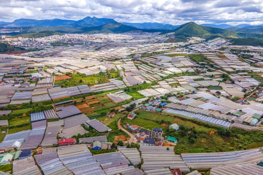 Dalat greenhouse