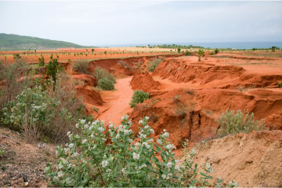 Semi Desert in Mui Ne