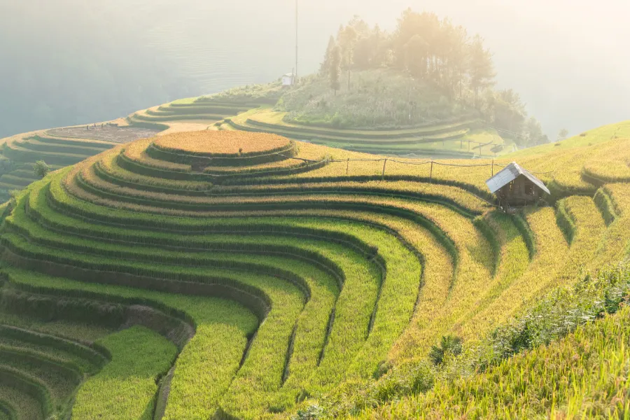 Terraced fields in Mu Cang Chai